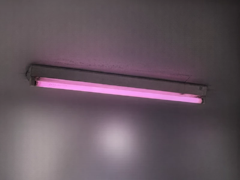 A fluorescent lamp glowing purple near the end of its life
